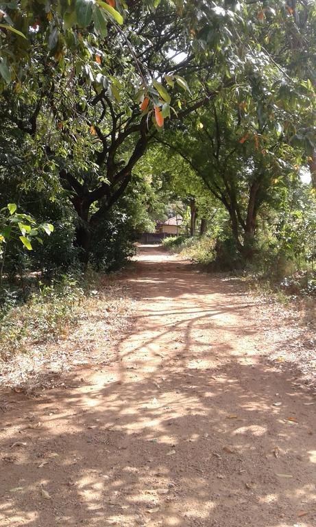 Miracle Home Stay Dambulla Buitenkant foto