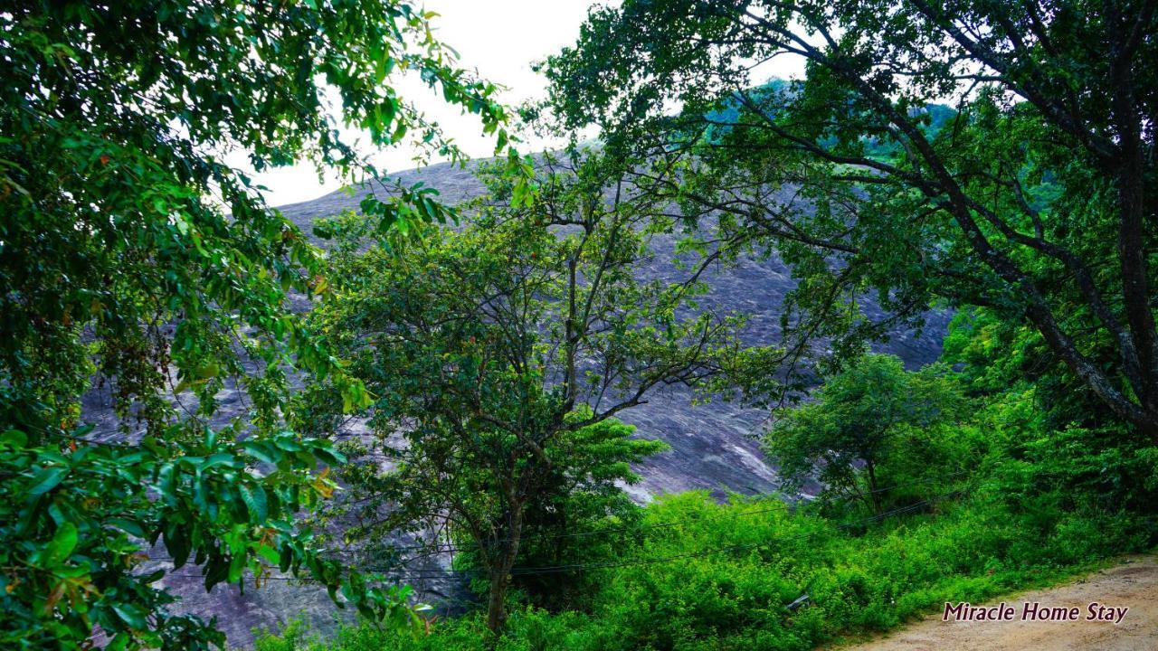 Miracle Home Stay Dambulla Buitenkant foto